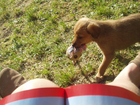 Tesinka u Jiných sousedů :-)